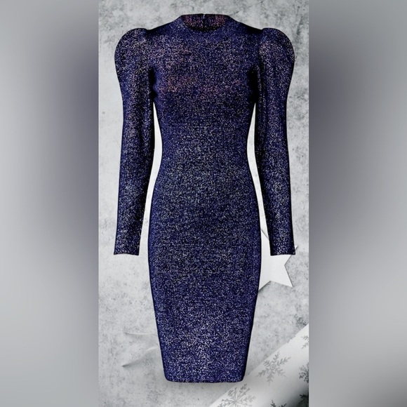 SACHIN & BABI 🦋Sz 2🦋THE REAL REAL🦋AMELIE METALLIC KNIT SWEATER DRESS $315 NEW - Picture 3 of 7